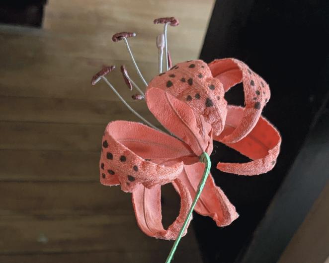 鬼百合の花だけ