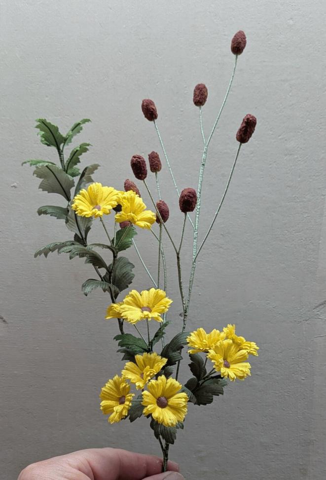 黄菊