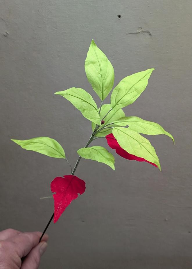 楠紅葉の一枝